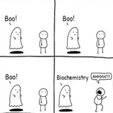 Biochemistry π§ͺ