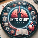 Let's Study