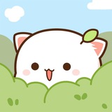 Mitao Cat