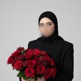 الهـدهـد 🤍