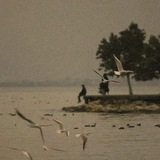 رقعة خاصة