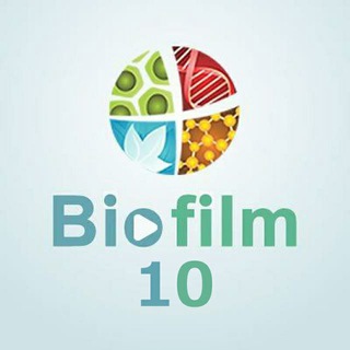 Biofilm_10