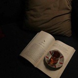 وصيـة رســول الله ﷺ 🦋 .