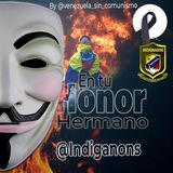indiganons Venezuela