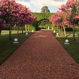 گلشن عشقThe rose garden of love