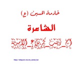 الشاعرة ام زينب كربلاء