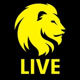 QASHQADARYO AHLI — LIVE