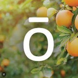 DOTERRA
