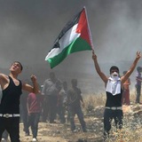 هدية الشعب اليمني 🇾🇪 🇵🇸
