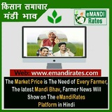 E Mandi Rates 【Mandi Bhav】