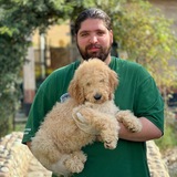 ✨ توله های مجموعه_متین نزاکتی ✨