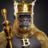 First Capital - Nodes|Testnet|Airdrops