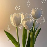 عَشْوَائِيات ˚ 𐙚𓍢ִ໋