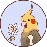 Пепужья мать 🐥 🐥 <i class="emoji" style="background-ima