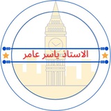 الاستاذ ياسر عامر