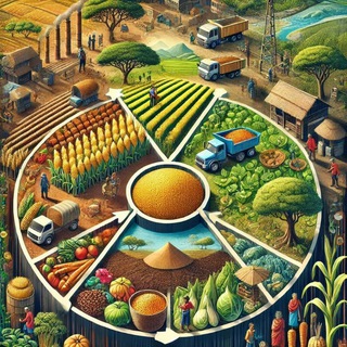 Model Questions-Agriculture 🇪🇹