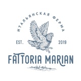 FATTORIA MARIAN