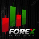 Forex 📊 kurdsh