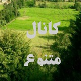 کانال متنوع