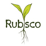 Rubisco Biology | المپیاد زیست روبیسکو