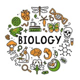 12th Biology Notes in hindi