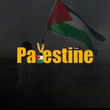 VPalestine 🇵🇸
