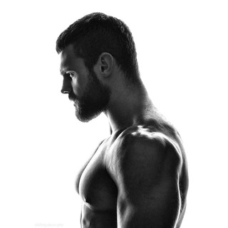 Hipertrofia Muscular Treino Musculação