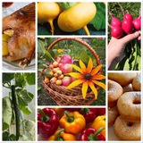 МИНЕМ БАКЧАМ 🌿 РЕЦЕПТЛАР