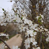 یک دقیقه با سلامت روان