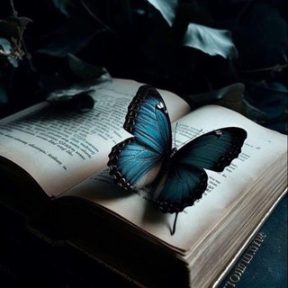 مكتبة التاريخ الحديث والمعاصر