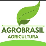 Canal AgroBrasil - Jonatan Basso