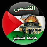 تلفزيون فلسطين TV 𓂆 🇵🇸