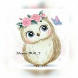 ﻧـڪْديھَہّ 💗 🦉 .
