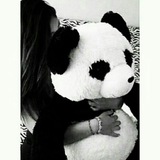 بــــانــدا℡ 🐼 💜