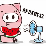 吃瓜群众 🍉