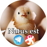 Natus est IT