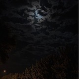 عاصفة الصمت .