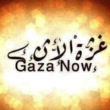 غزة مباشر | اخبار