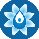 🌊Aqua yoga (Roya NIKNIA)