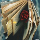 𝑺𝒂𝒓𝒃𝒂𝒛 | سرباز