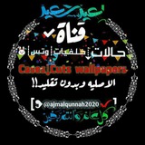 حالات⇣خلفيات┊واتس┊ 🐰 ✨