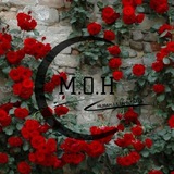 MuslimahOnHijrah 🌹