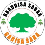 GAADDISA SABAA
