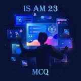 IS 23 MCQ