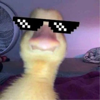 ㅤ