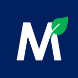 MisterLeaf 资讯网