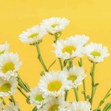 الله معك,فُـ لاتحزن 🌻 💛 .