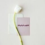 القلوب الرقيقة