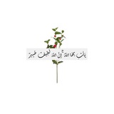 اللهُ إذا كلفّ أعانْ.🤍🌱