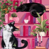 kot books 🐈 18+